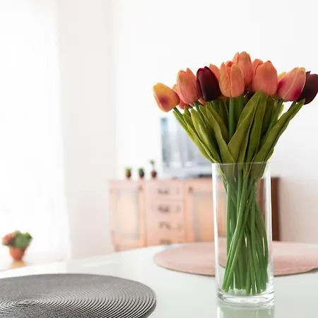 Apartment Celestina *
